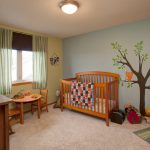 113 Callaway Court, Mankato