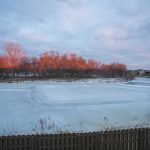 111 Falcon Court, Eagle Lake