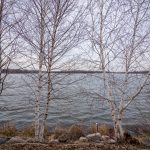 32886 Lake Emily Road, St. Peter