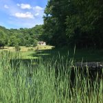 225 Elk Trail, Good Thunder