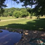 225 Elk Trail, Good Thunder